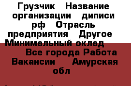 Грузчик › Название организации ­ диписи.рф › Отрасль предприятия ­ Другое › Минимальный оклад ­ 13 500 - Все города Работа » Вакансии   . Амурская обл.